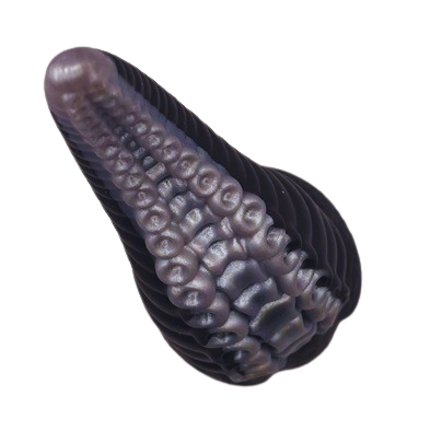 The Kraken