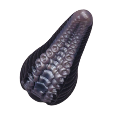 The Kraken